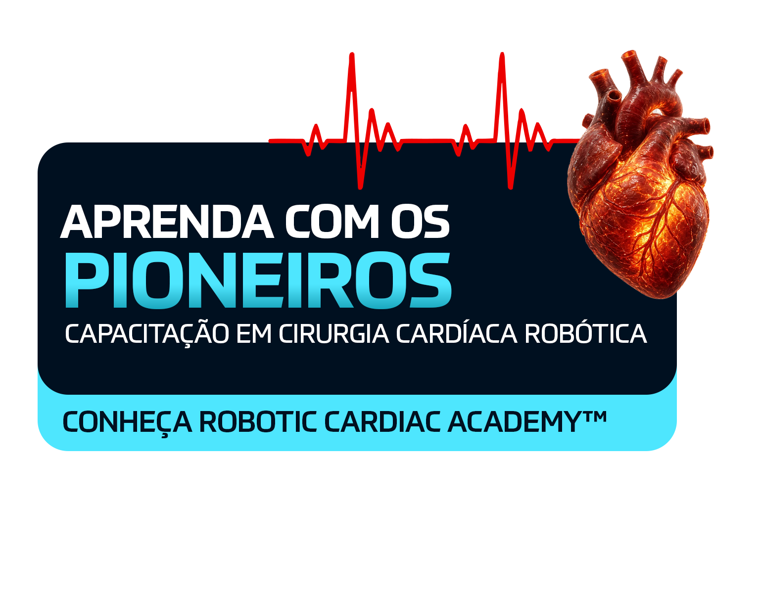 Aprenda cirurgia cardíaca robótica com os pioneiros